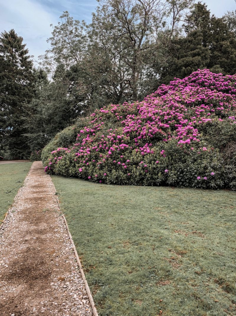 Alexander House | Luxury Five Star Hotel &amp; Spa in West Sussex