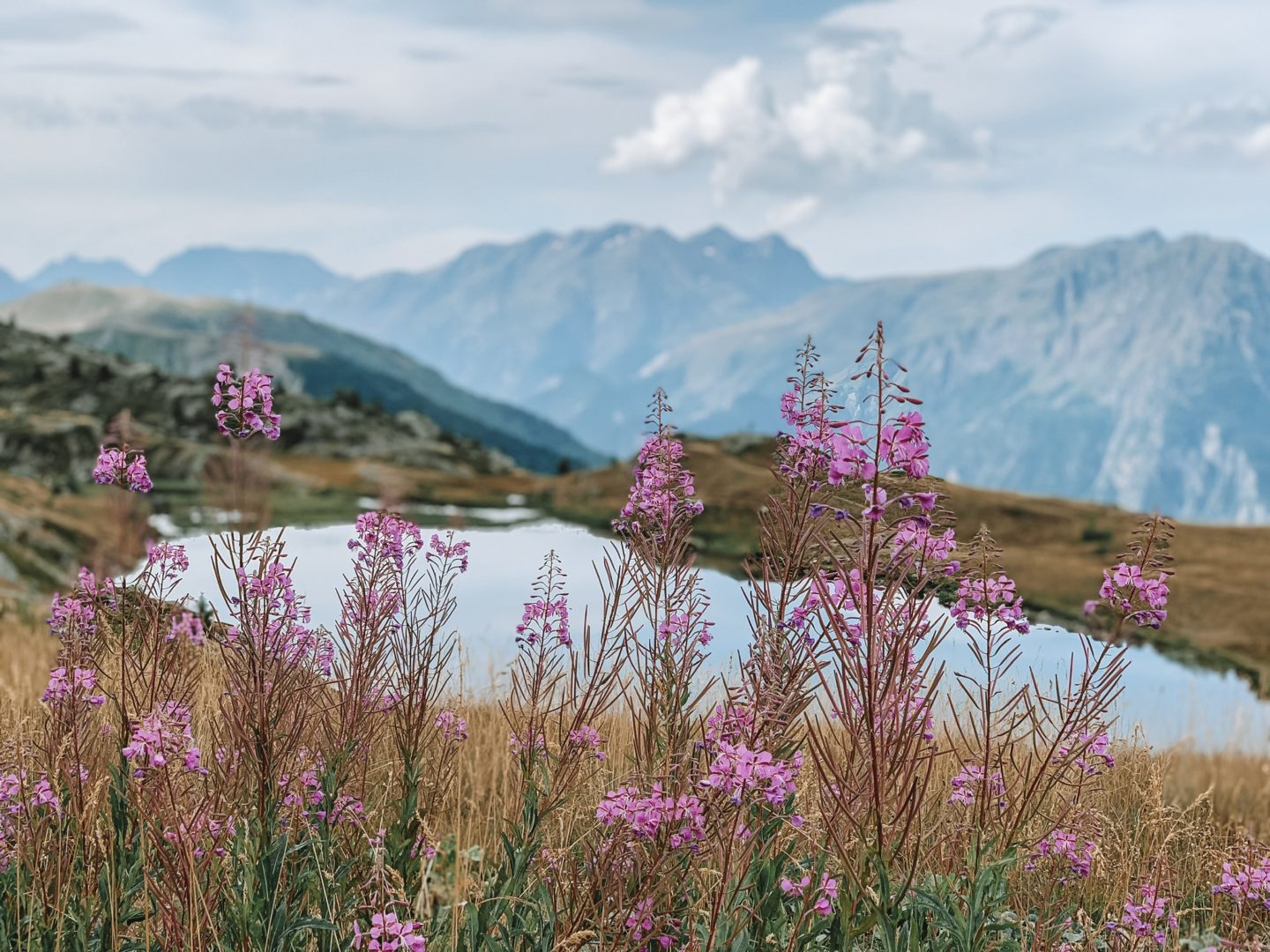 The Alps, France