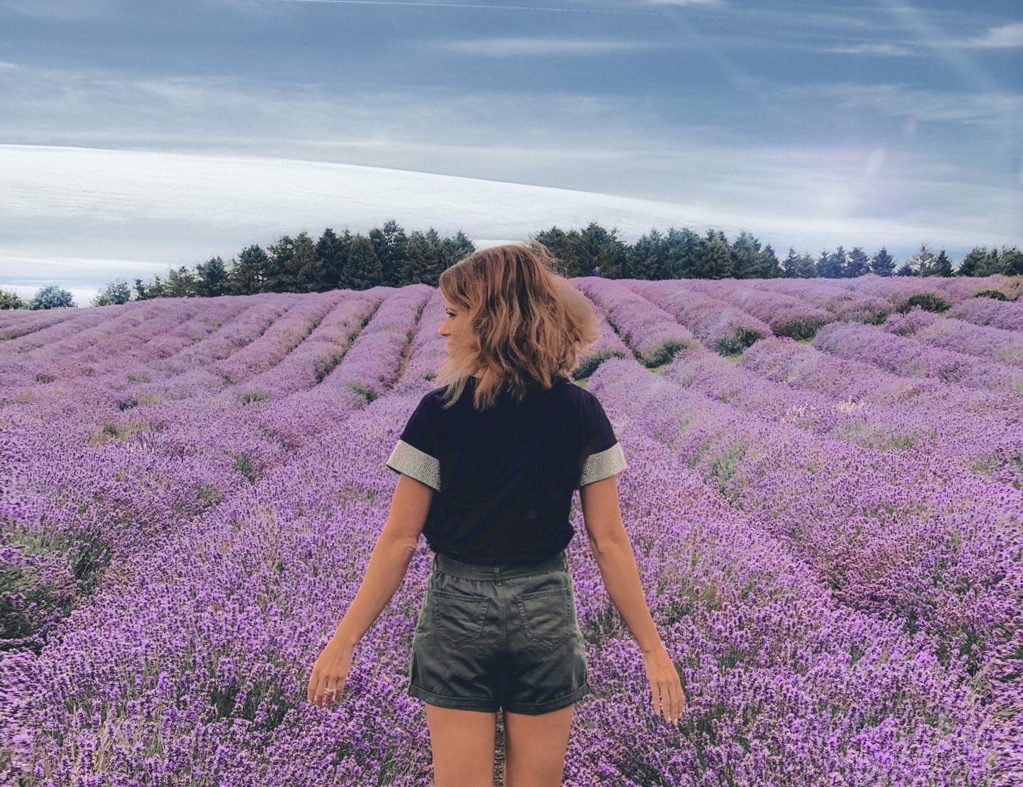 COTSWOLD'S LAVENDER FIELDS