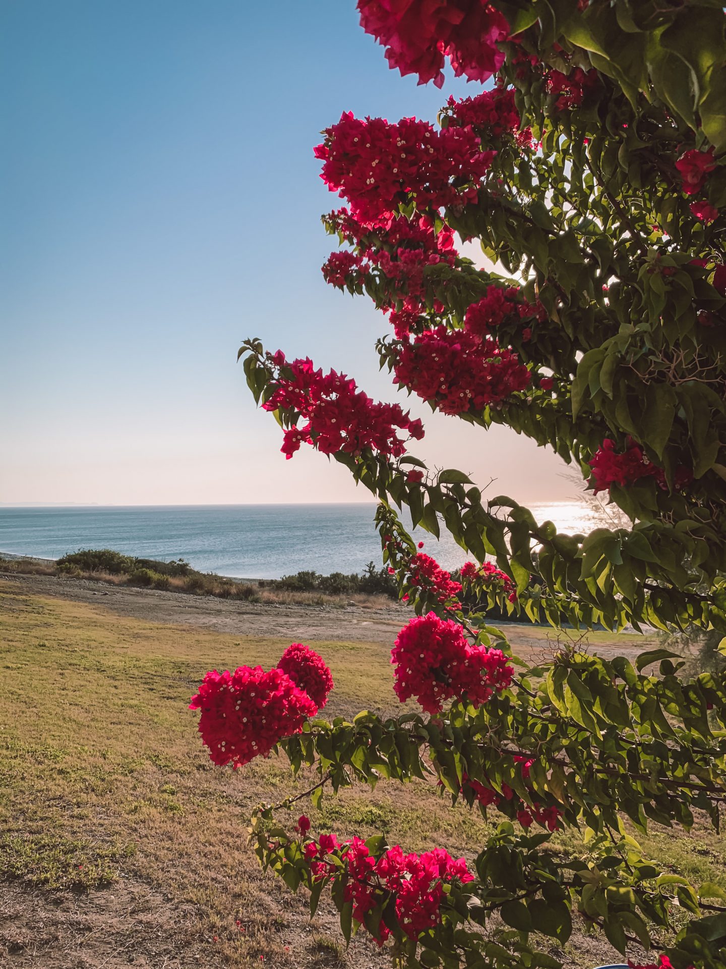 Atrium Prestige Thalasso Spa Resort and Villas | Rhodes Greece | Greece Holiday | Sea View Hotel | Private Pool Hotel