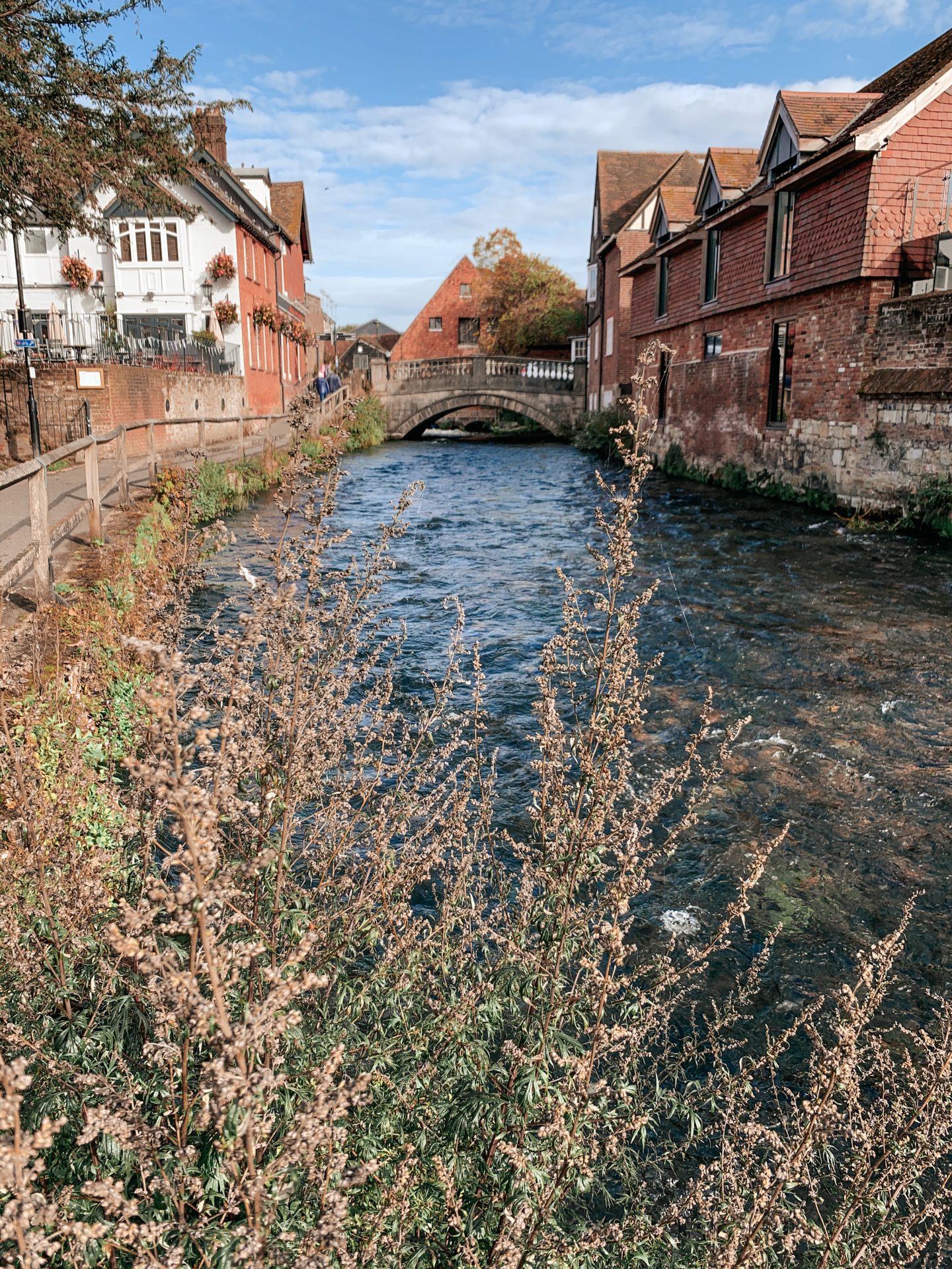 Winchester in England, perfect weekend away inspiration, holiday in the UK | RIVER ITCHEN WALK