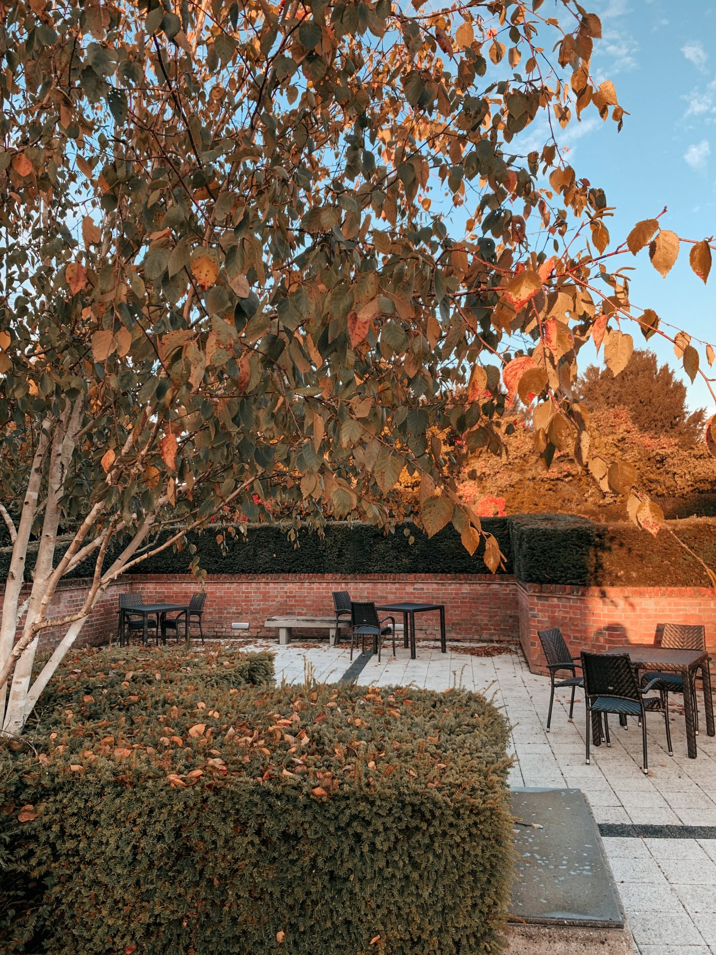 Winchester in England, perfect weekend away inspiration, holiday in the UK | QHotels Norton Park Manor