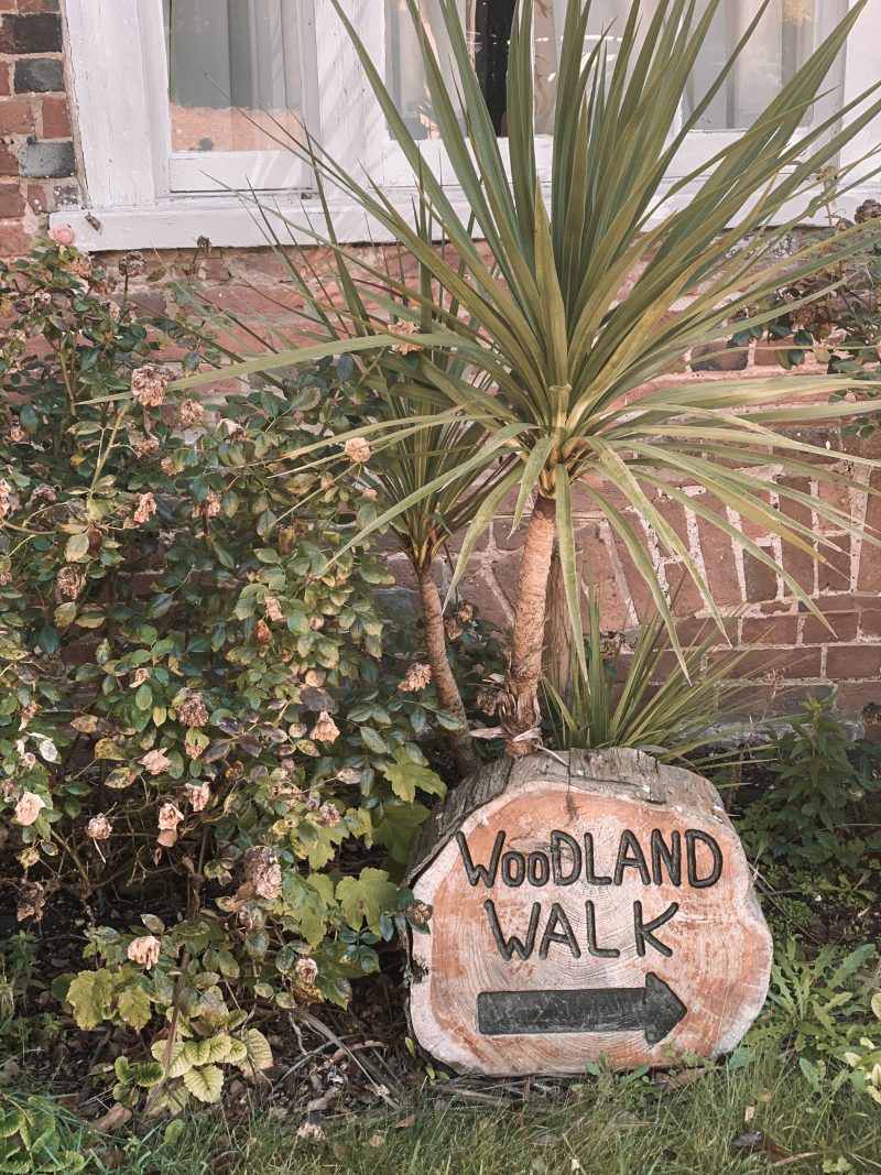 Winchester in England, perfect weekend away inspiration, holiday in the UK | QHotels Norton Park Manor | where to stay in Winchester