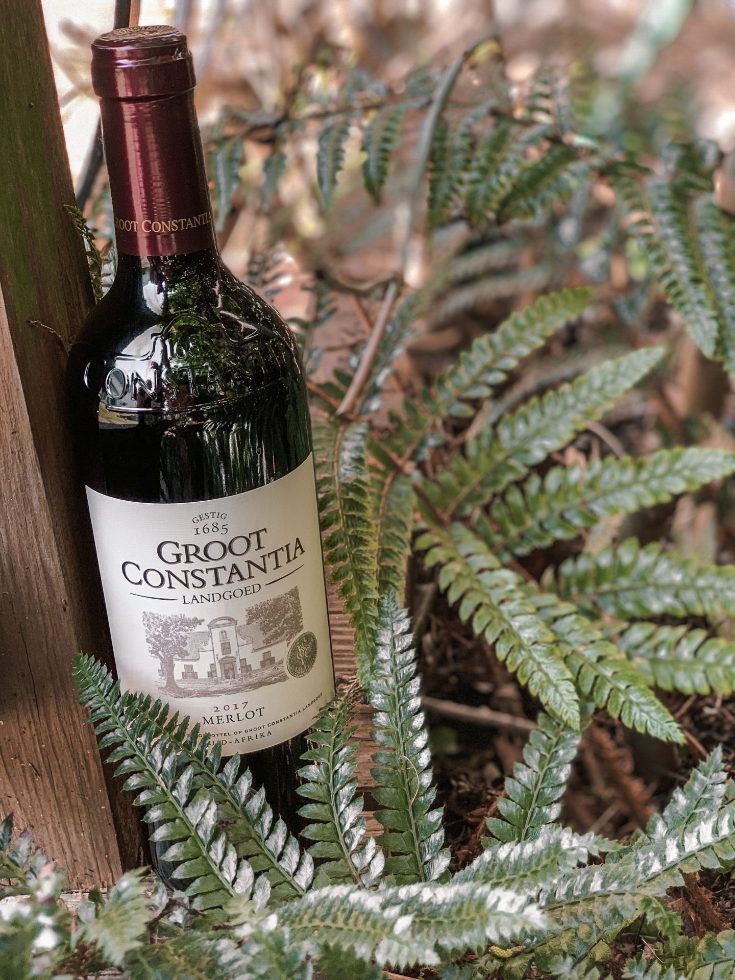 Groot Constantia Merlot 2017