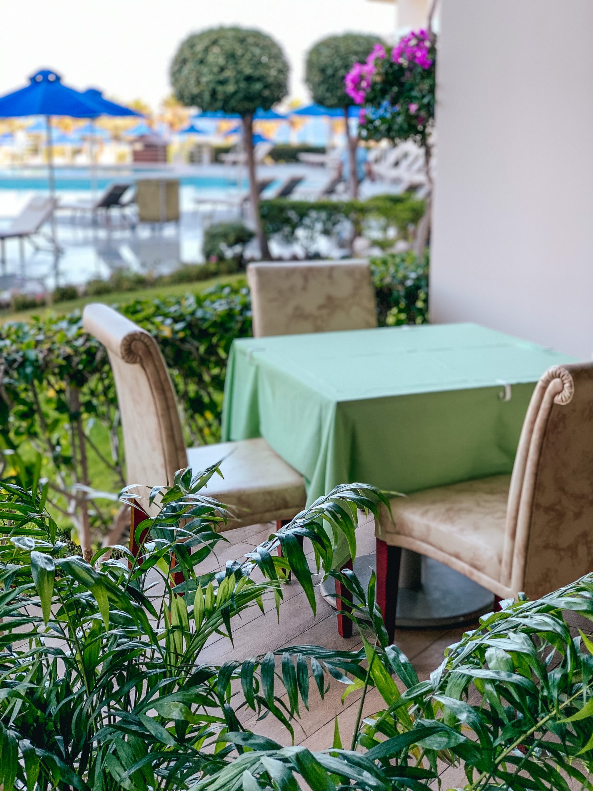 Holiday in Rhodes, Greece. Atrium Hotels. Atrium Platinum Resort Hotel & Spa. Best Hotels in Rhodes | ELIA & TRAMONTO restaurant – MEDITERRANEAN CUISINE