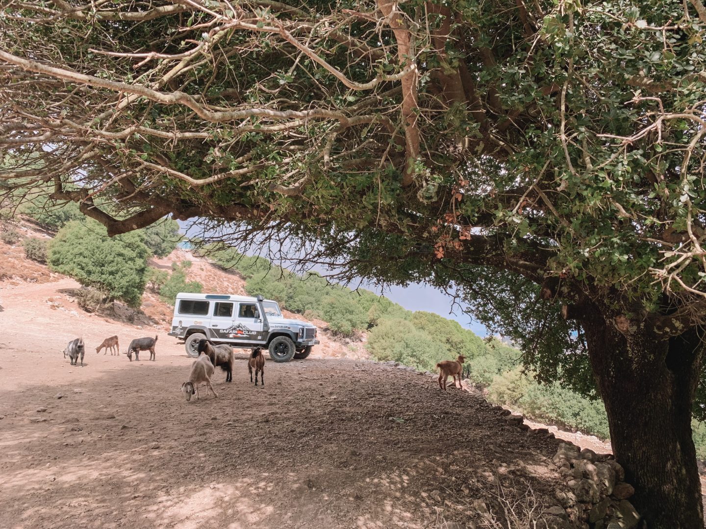 Safari Club Crete the No 1 Land Rover Safari on Crete since 2002, Greece