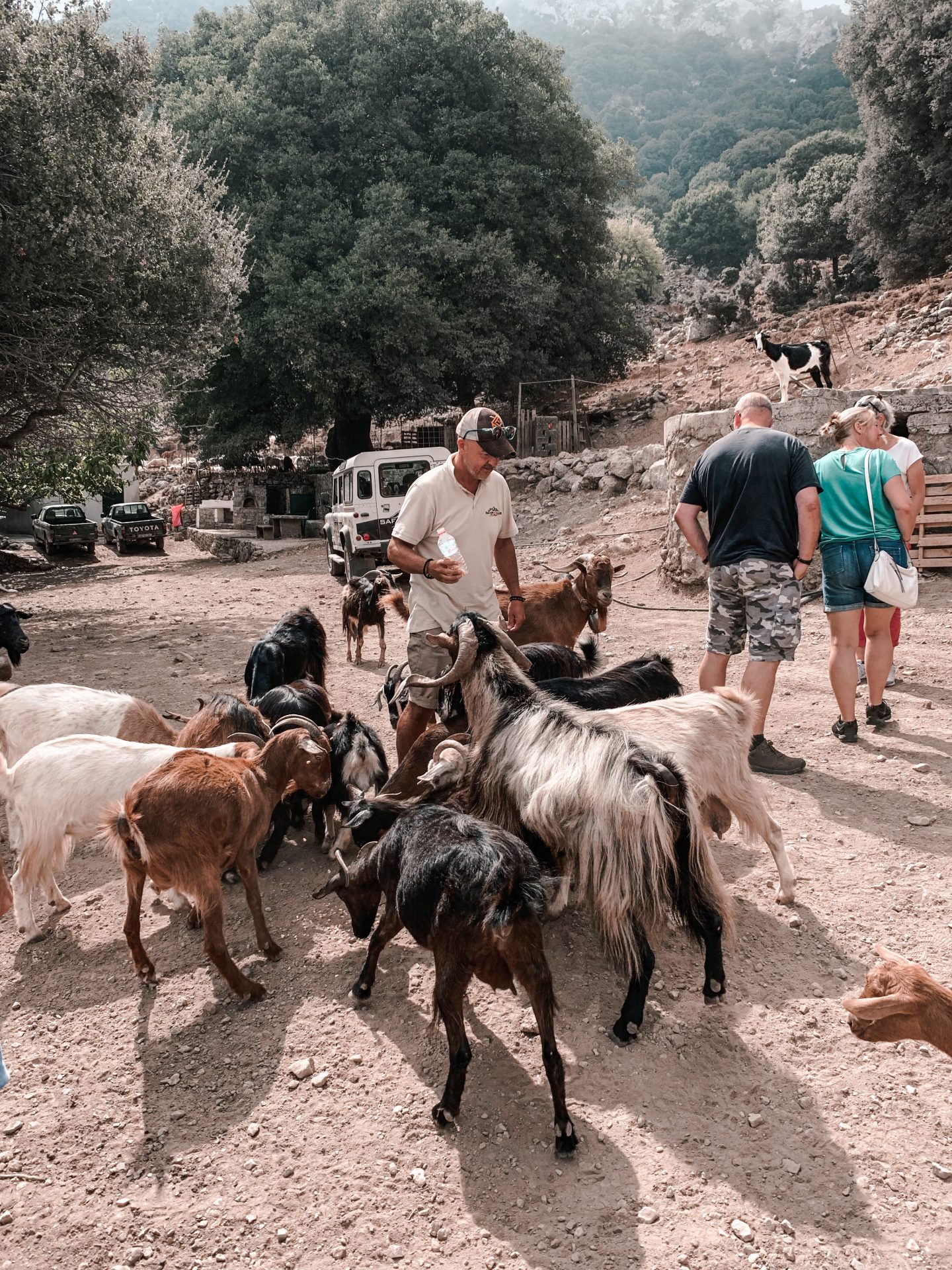Safari Club, Minoan Route across the central part of Crete with its mythology, flora, fauna and lots of fun and interesting information about Crete and the local life.