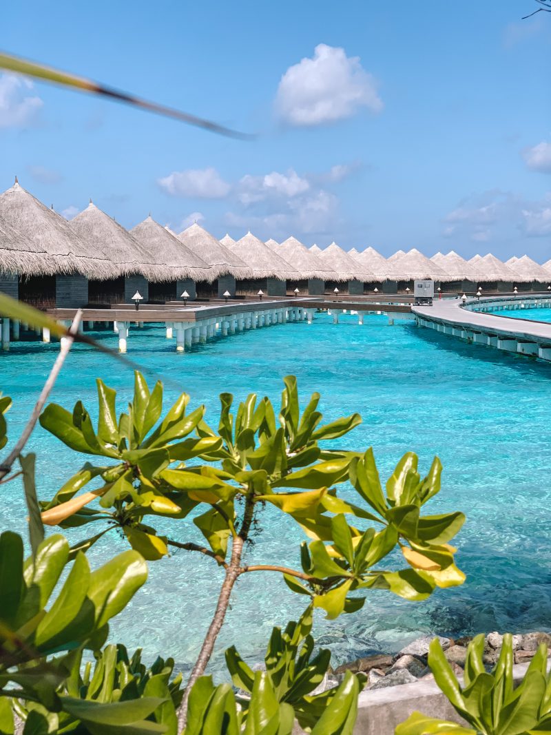 The Maldives, Taj Exotica Resort &amp; Spa, Maldives, luxury travel