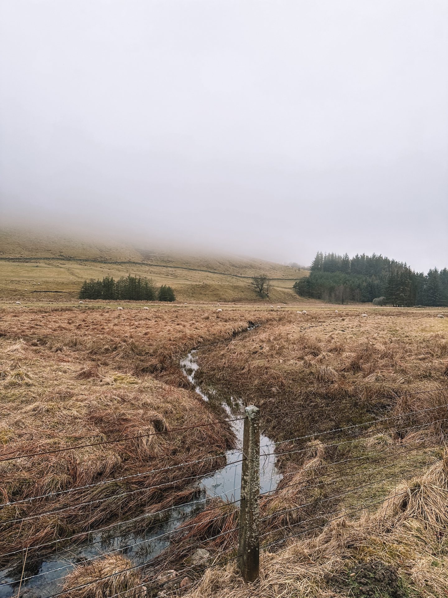 Spittal of Glenshee, Blairgowrie, walk towards the Dalmunzie Castle Hotel