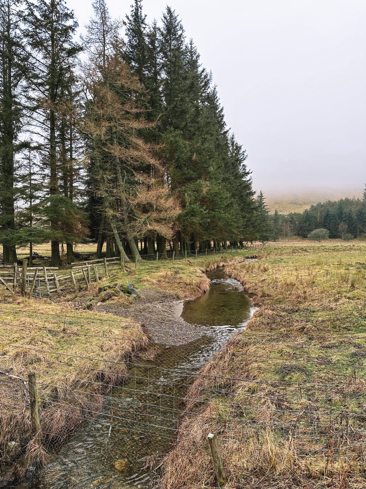 Spittal of Glenshee, Blairgowrie, walk towards the Dalmunzie Castle Hotel