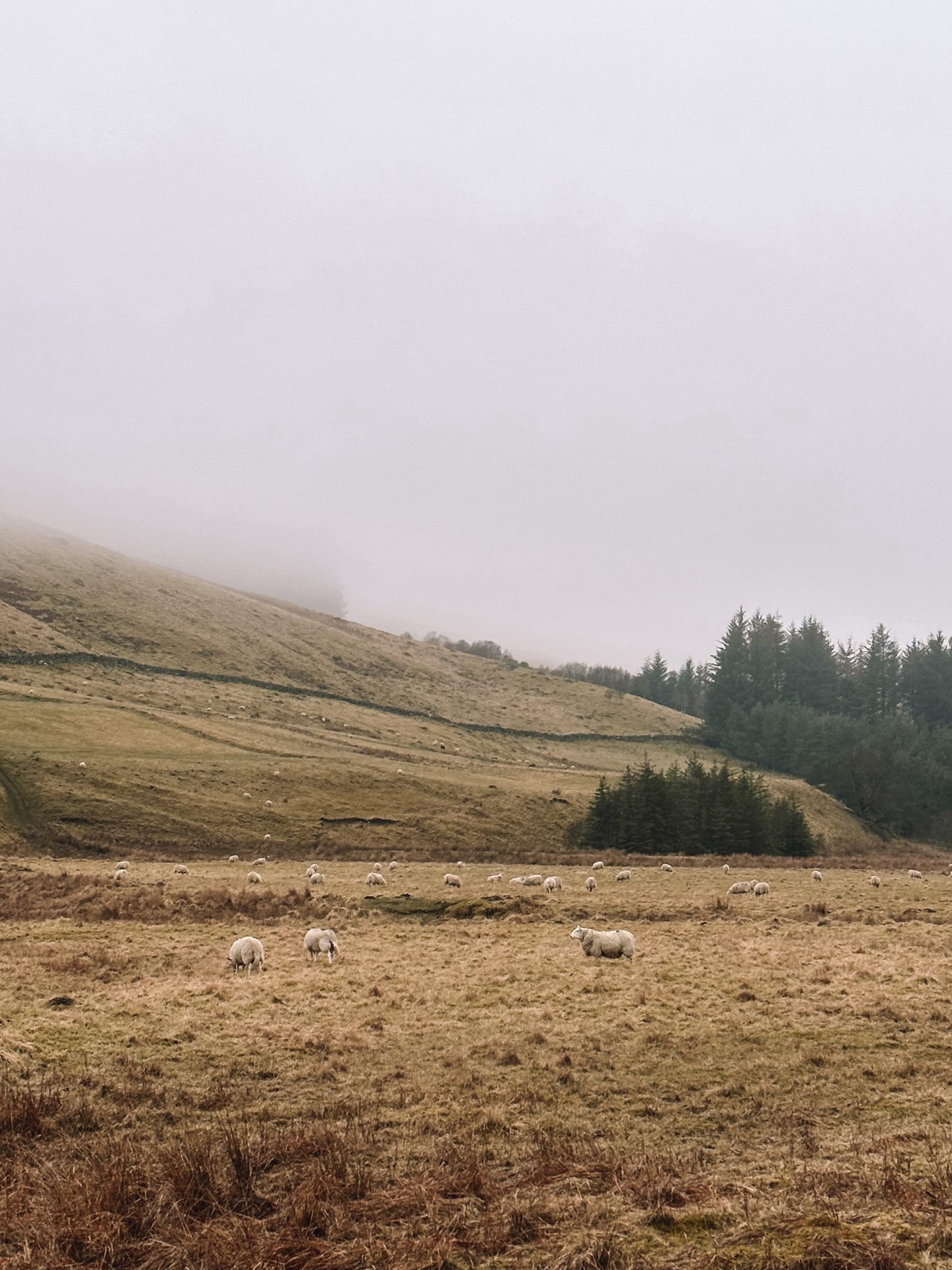 Spittal of Glenshee, Blairgowrie, walk towards the Dalmunzie Castle Hotel