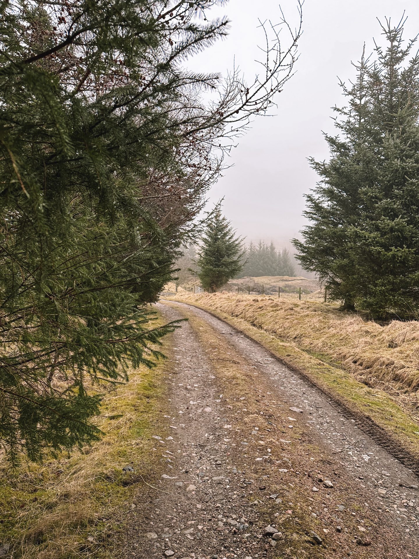 Spittal of Glenshee, Blairgowrie, walk towards the Dalmunzie Castle Hotel