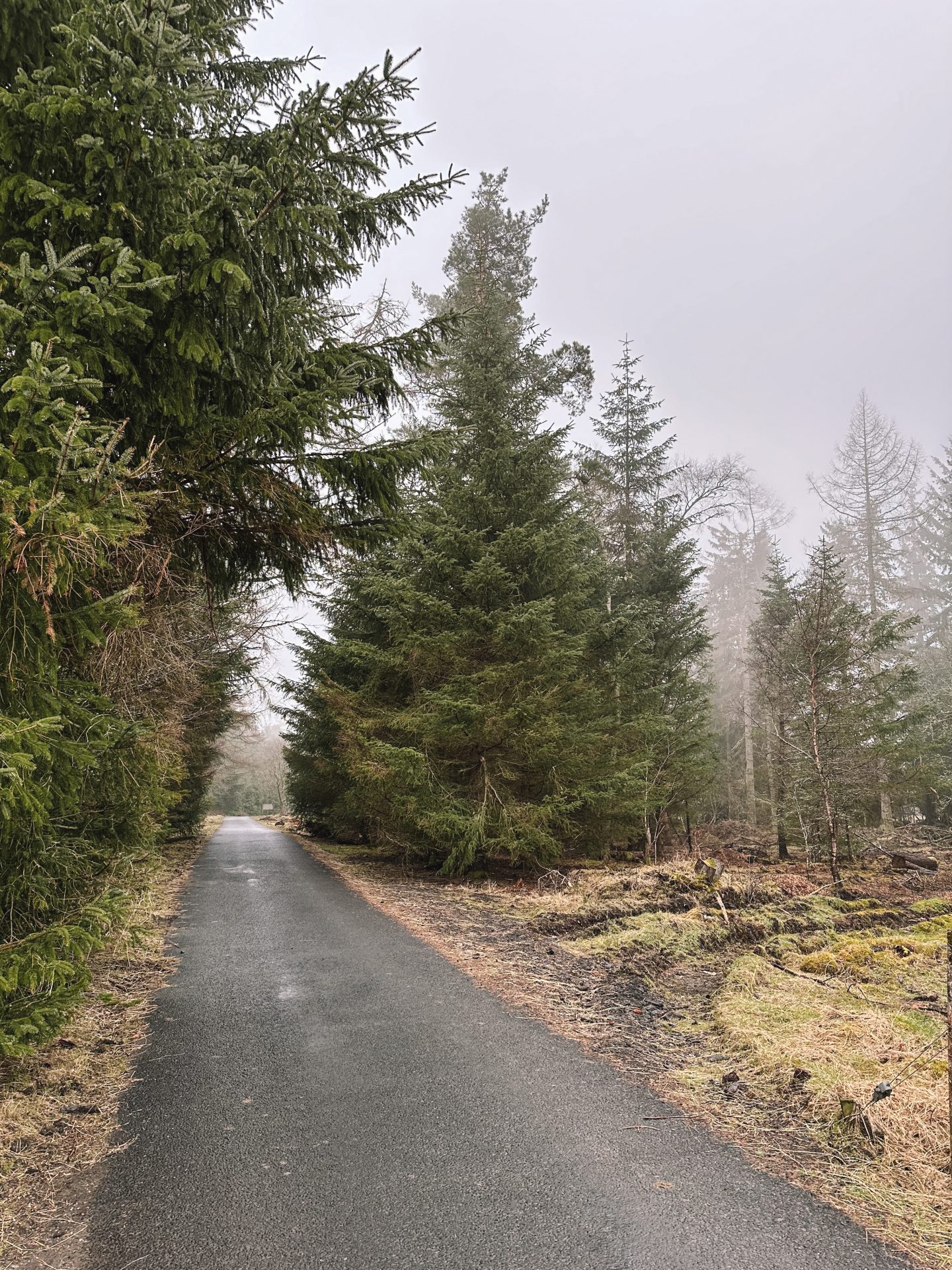 Spittal of Glenshee, Blairgowrie, walk towards the Dalmunzie Castle Hotel