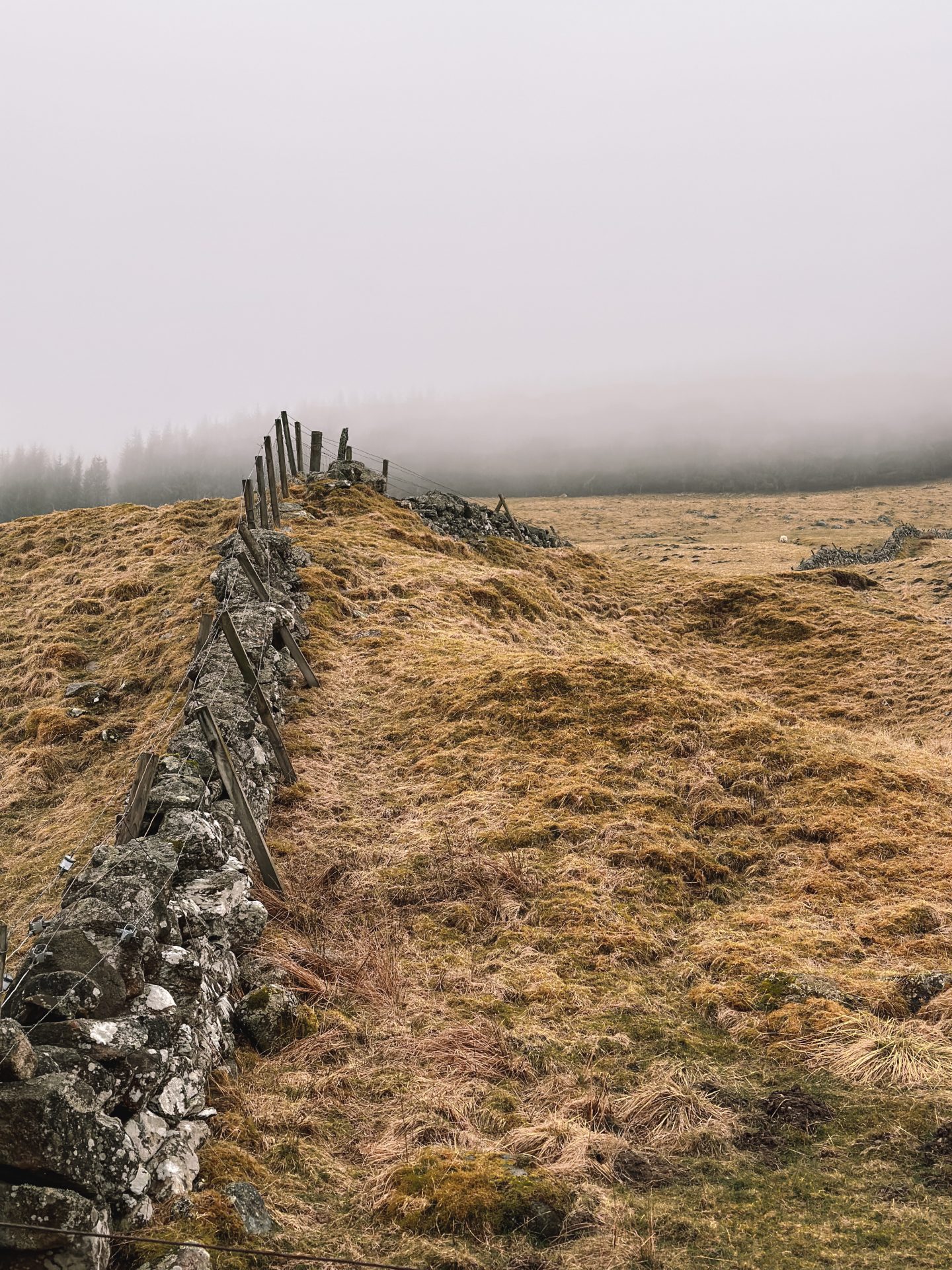 Spittal of Glenshee, Blairgowrie, walk towards the Dalmunzie Castle Hotel