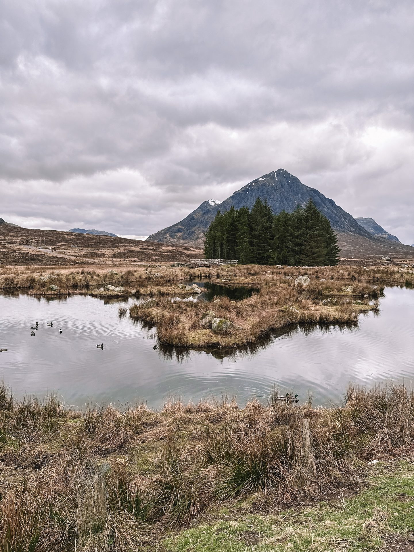 Glencoe