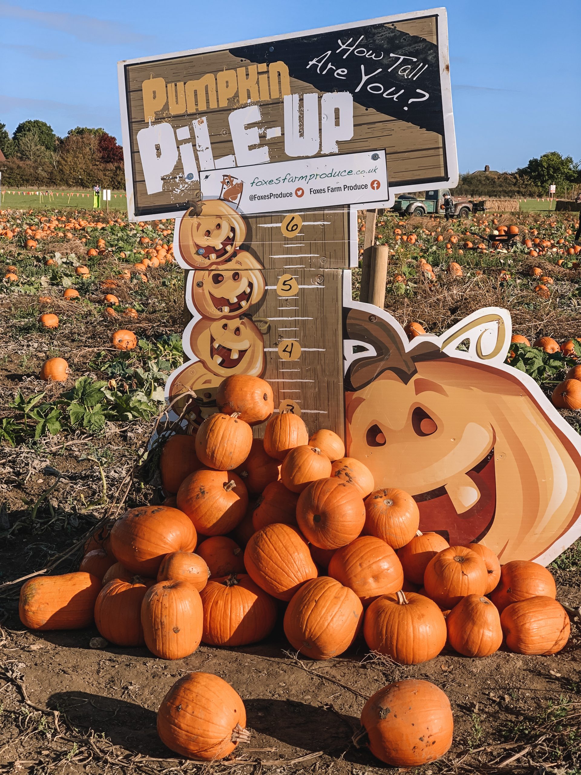 Halloween, Corn Mazes and Pumpkin Patches