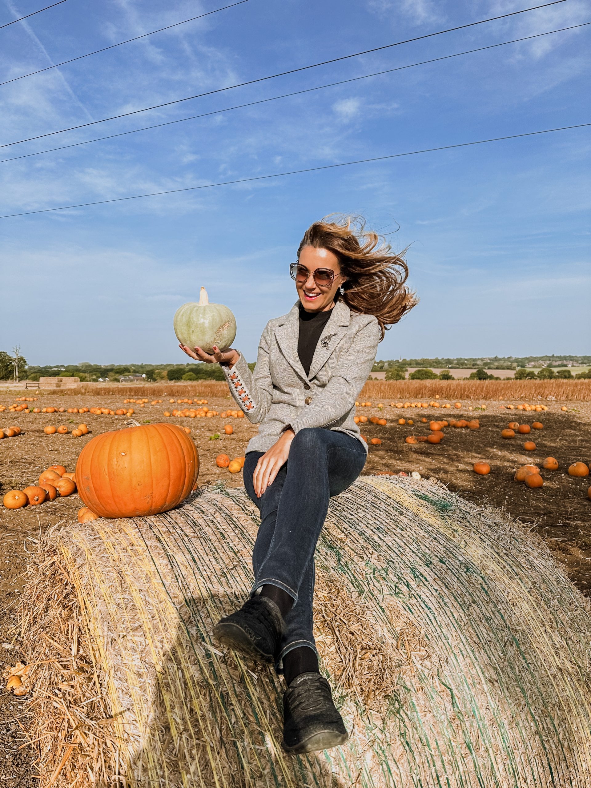 Foxes Farm Producer, pumpkin patch, Autumn, Halloween fun
