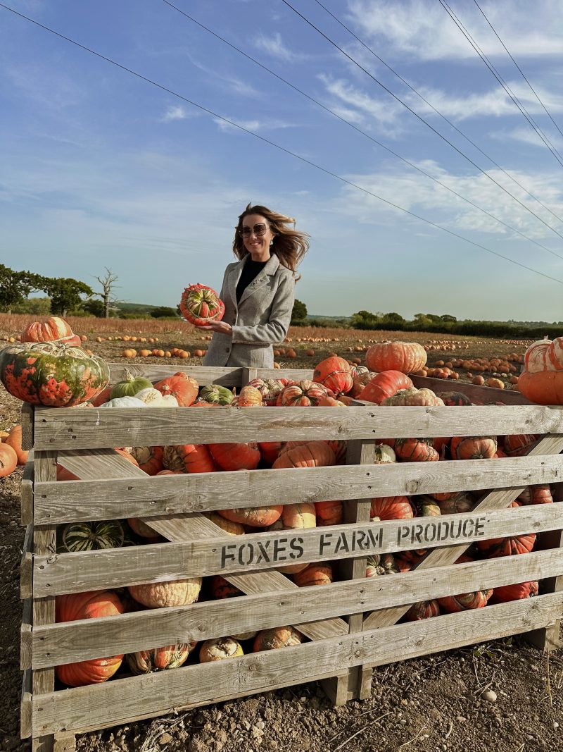 Foxes Farm Producer, pumpkin patch, Autumn, Halloween fun