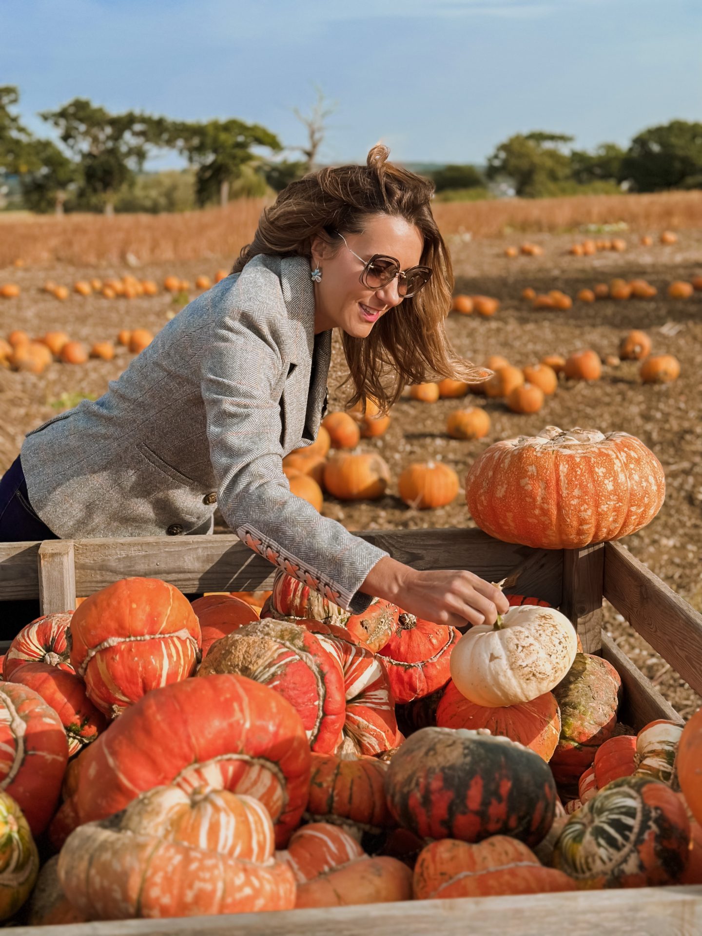 Foxes Farm Producer, pumpkin patch, Autumn, Halloween fun