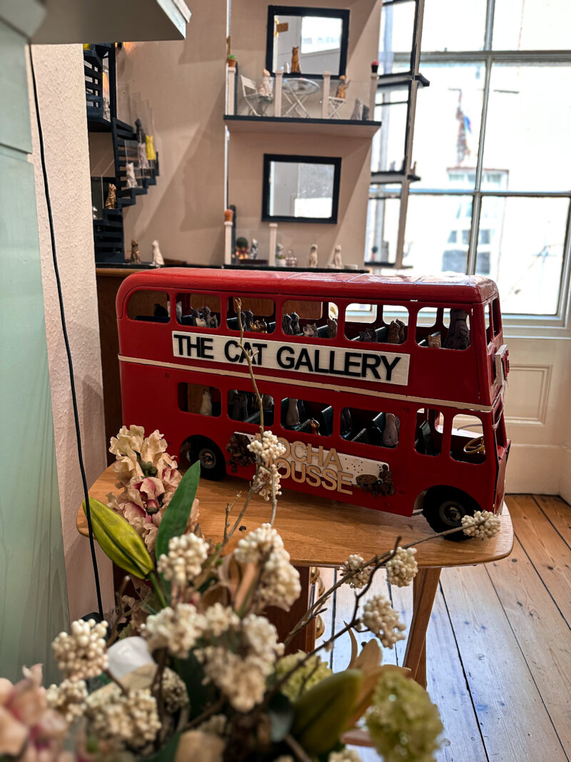 Shops in York, England