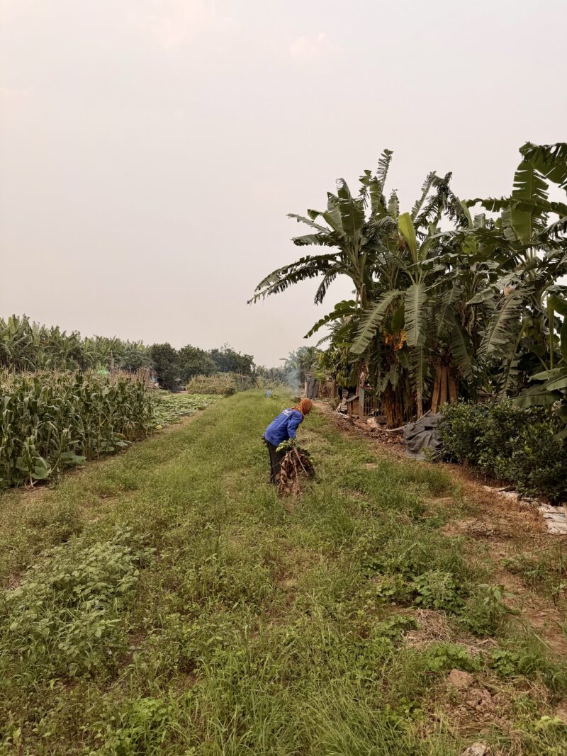 War Jeep Tours, Hanoi, Vietnam War Jeep Tours, Hanoi, Vietnam